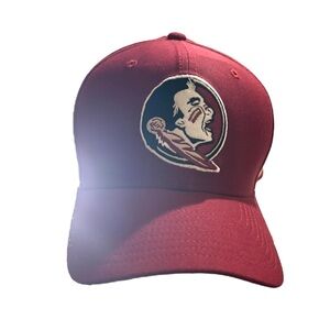 Florida State Baseball Cap with Embroidered Logo (Custom) “Papi”